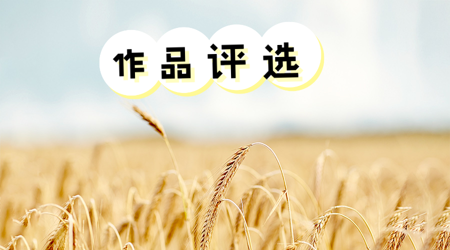 “我心中的美丽稻田”作品网络评选活动