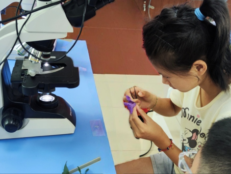 研学工作坊——花儿的生命秘