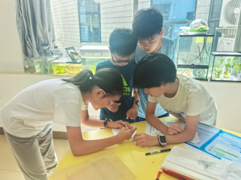 蝶舞永恒——蝴蝶标本的制作