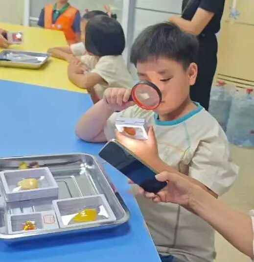 研学工作坊--电学小侦探